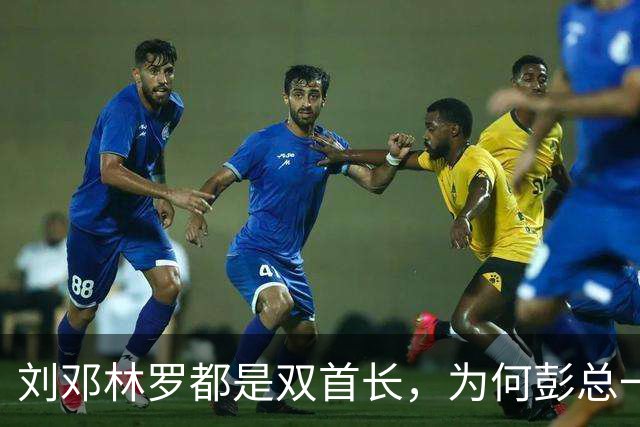 刘邓林罗都是双首长，为何彭总一直是司令兼政委？毛主席的用人算术