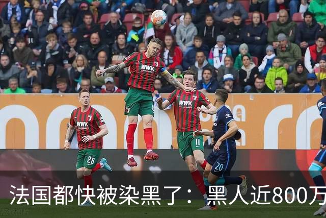 法国都快被染黑了：黑人近800万，巴黎的新生儿，黑皮肤近70%